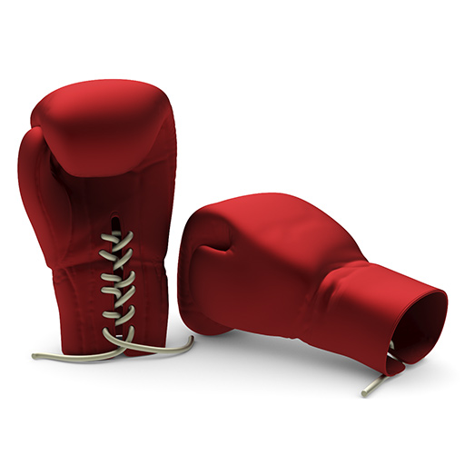 boxing gloves clayoo2 sample